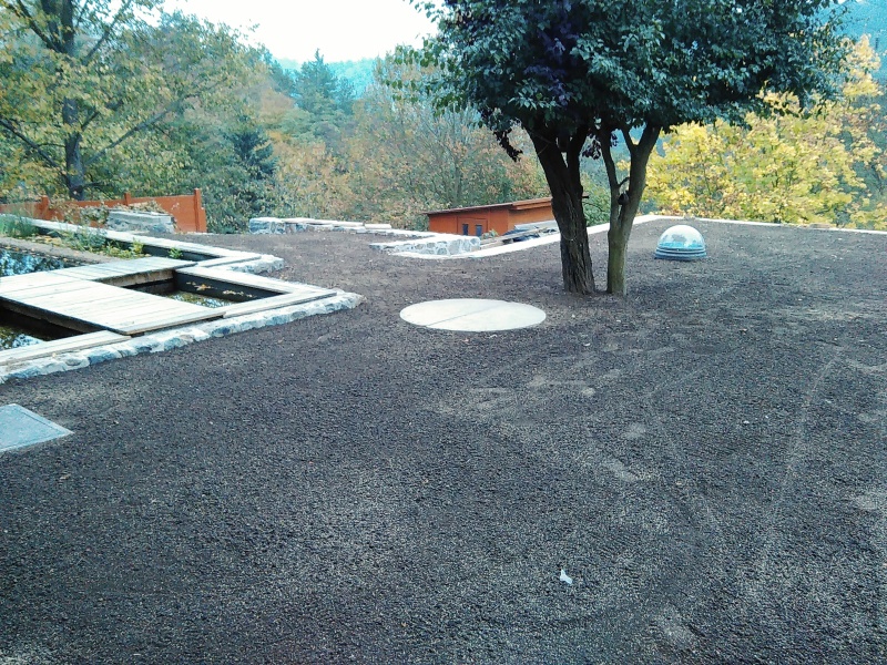 Finální podoba zahrady již po výsevu travního osiva